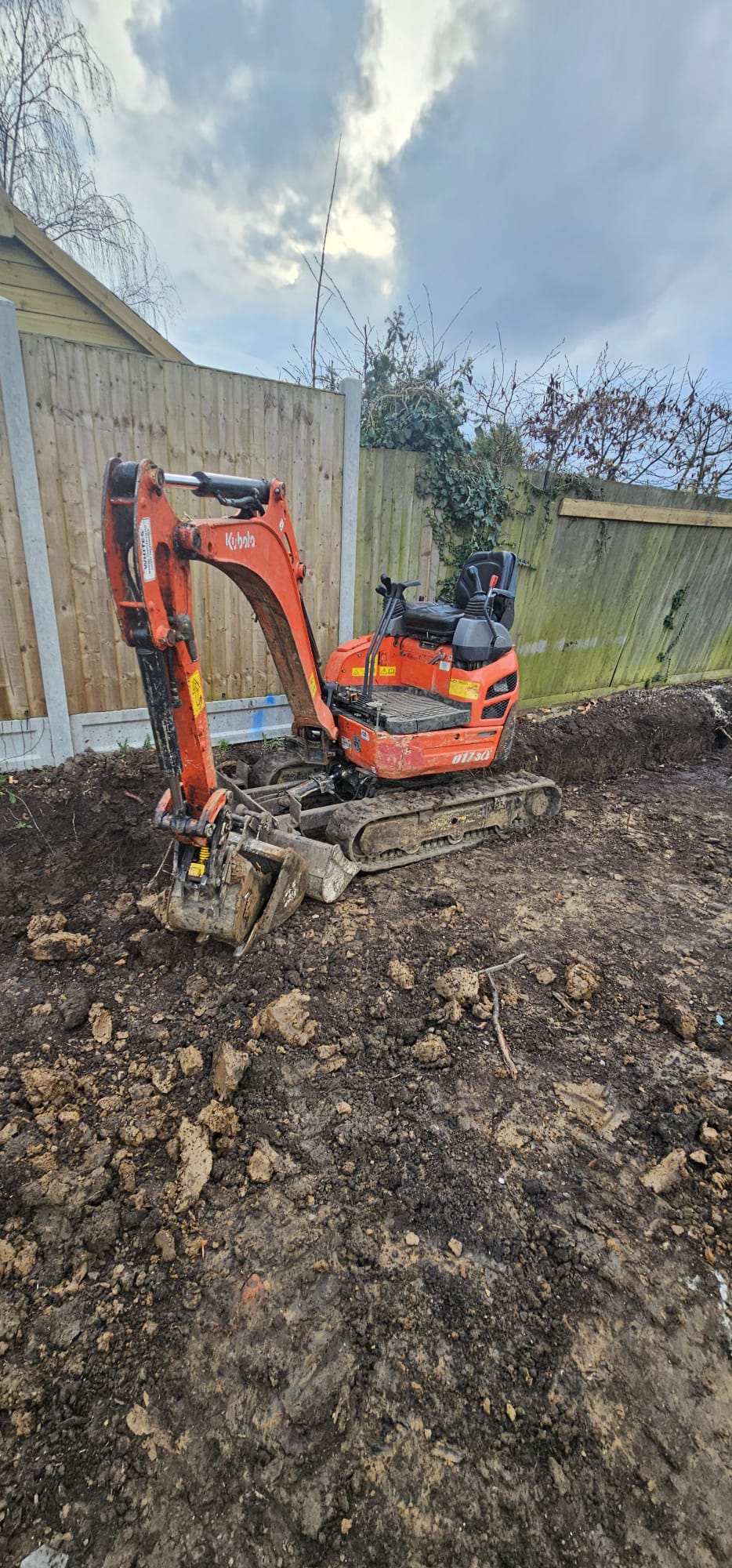 Tree Root & Stump Removal